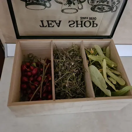 Apartamento родопски рай