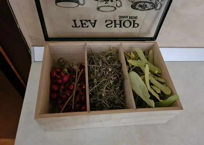 Daire родопски рай